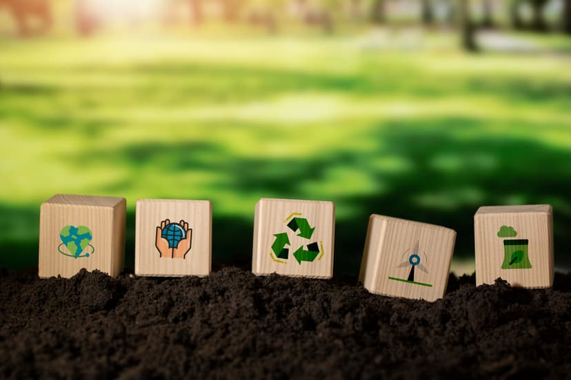Carbon Credit Monetization