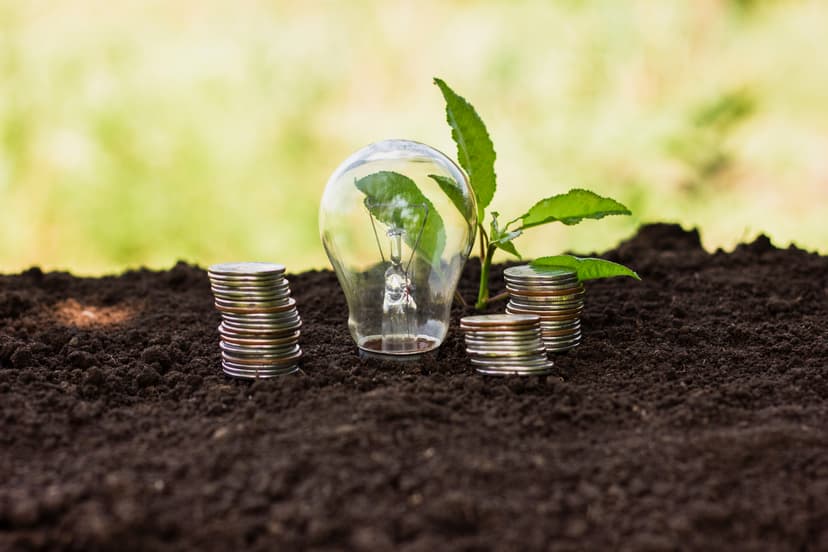 International Carbon Credits